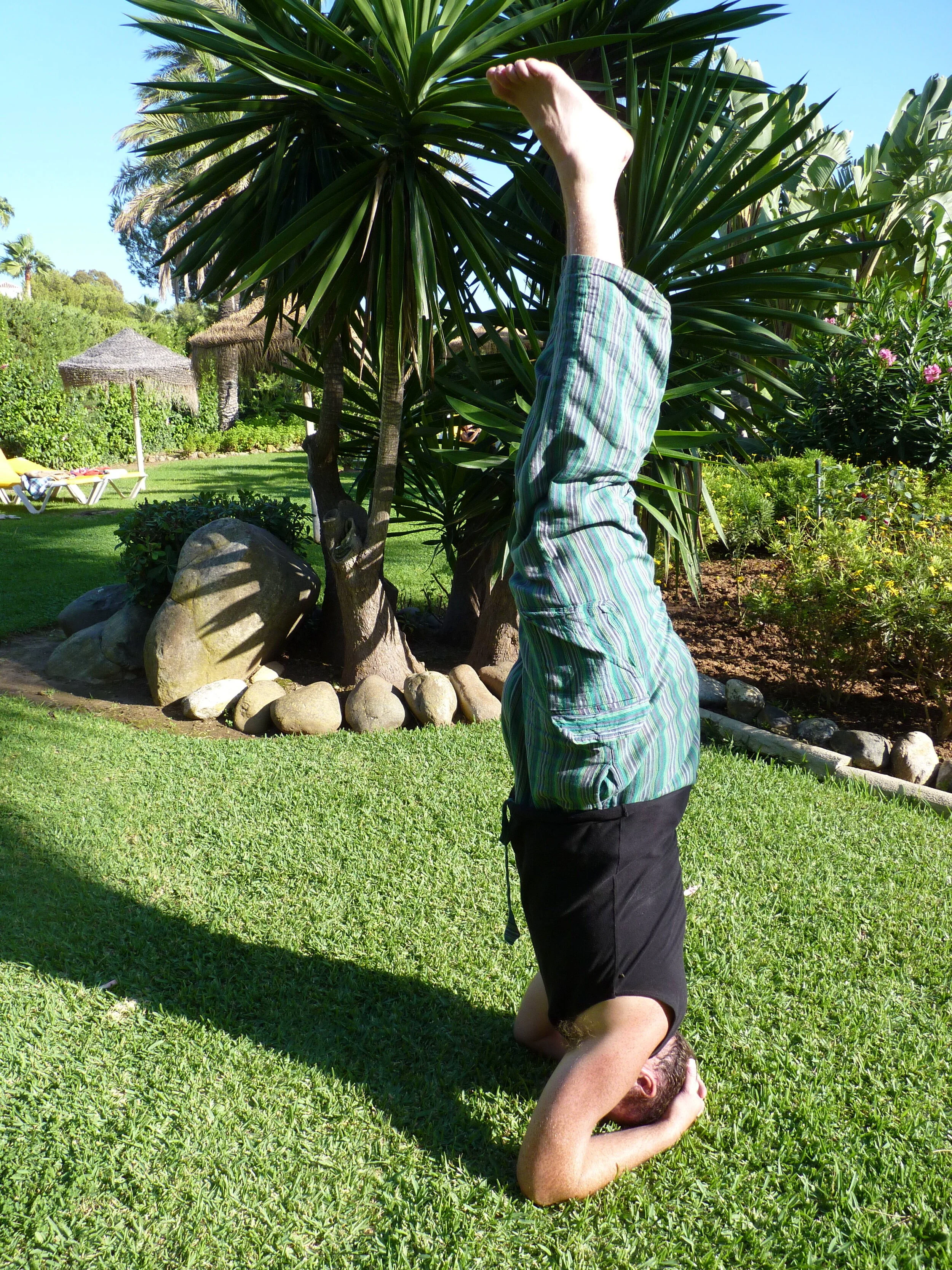 Person performing a headstand on grass in a garden setting with palm trees and bushes.