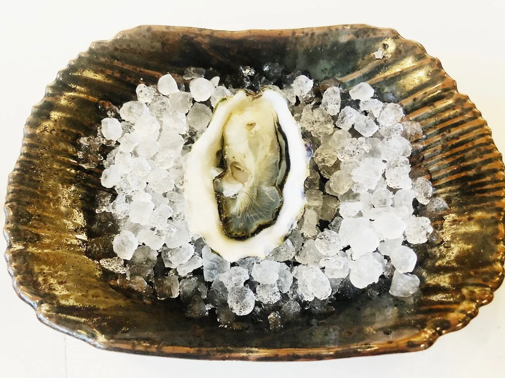 The Best Oysters in Tampa Bay — The Gala Life