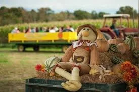 Kyker Farms Korn Maze