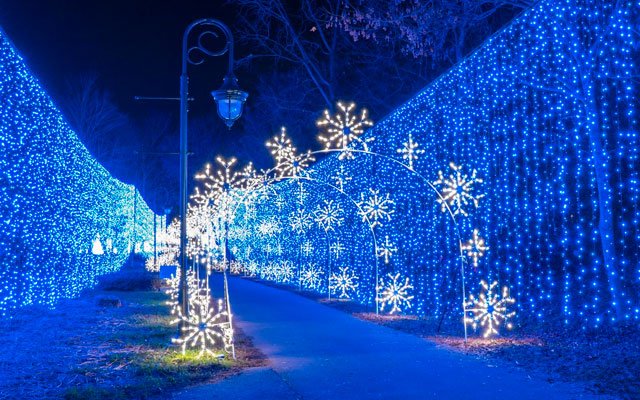 Wonders Of Light Walking Trail
