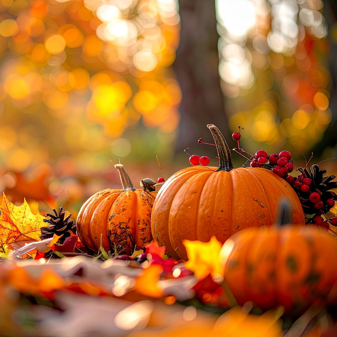 Your Guide to Fall Festivals in the Smoky Mountains