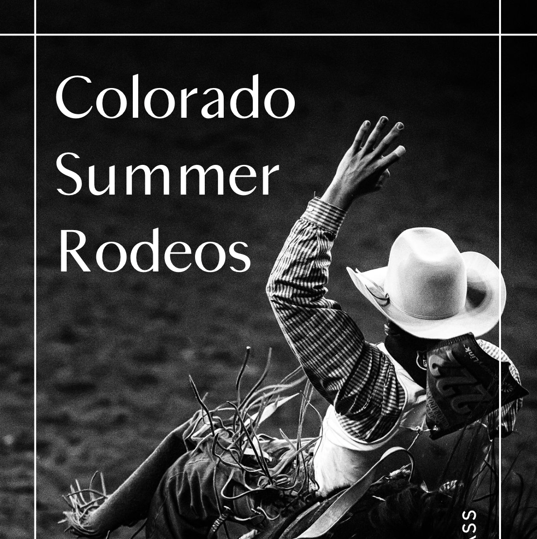 CO Summer Rodeos