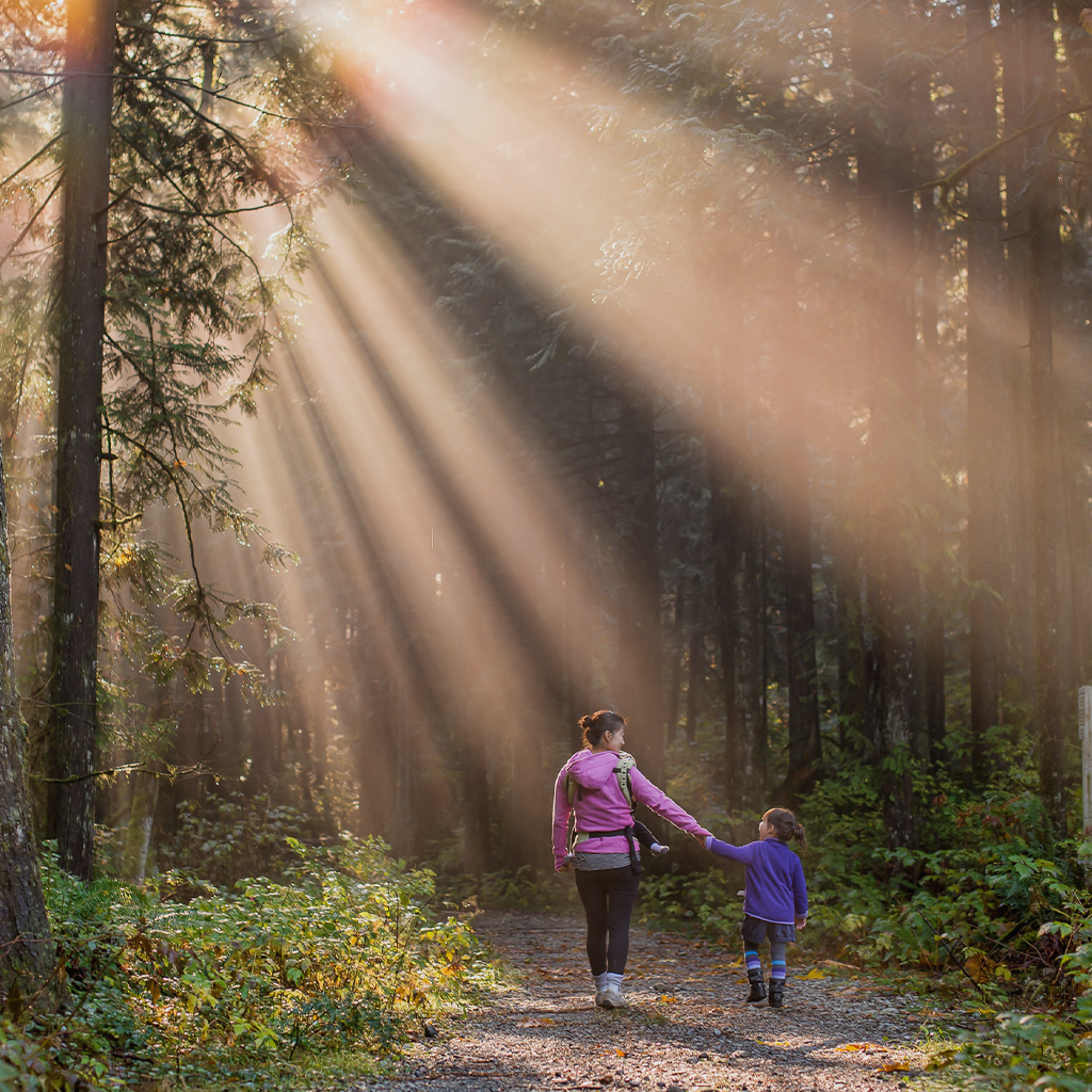 Sabbath for the Watching Warrior at Home