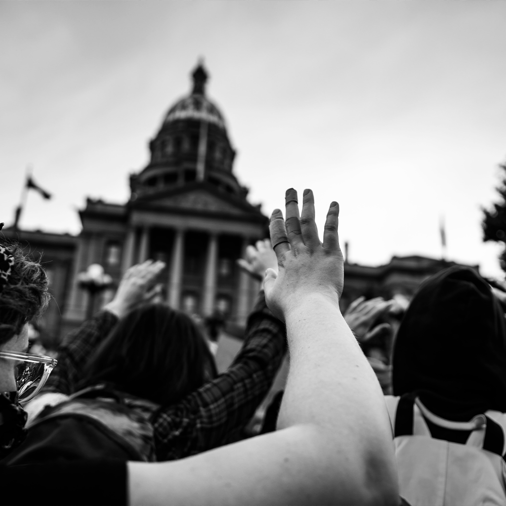 Dehumanization &amp; Political Polarization 