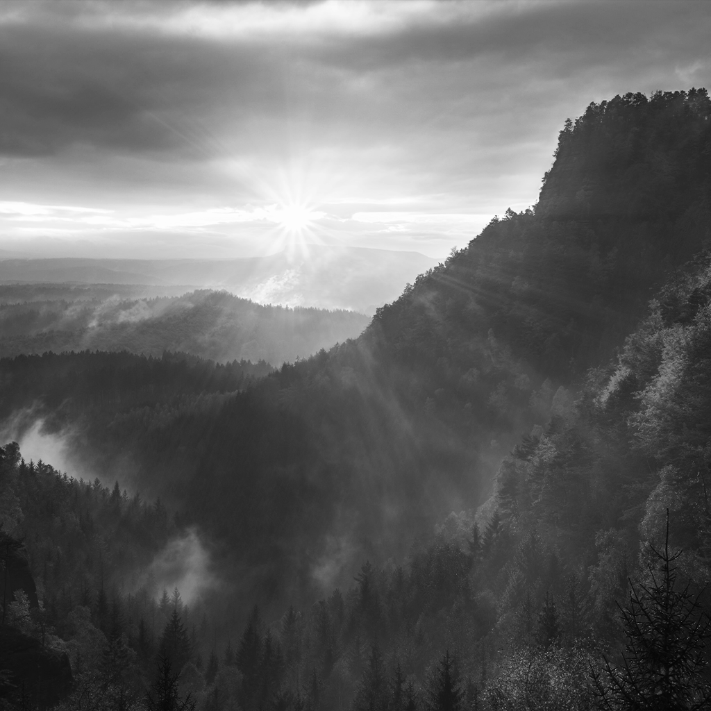 Transforming Identity After Chronic Crisis