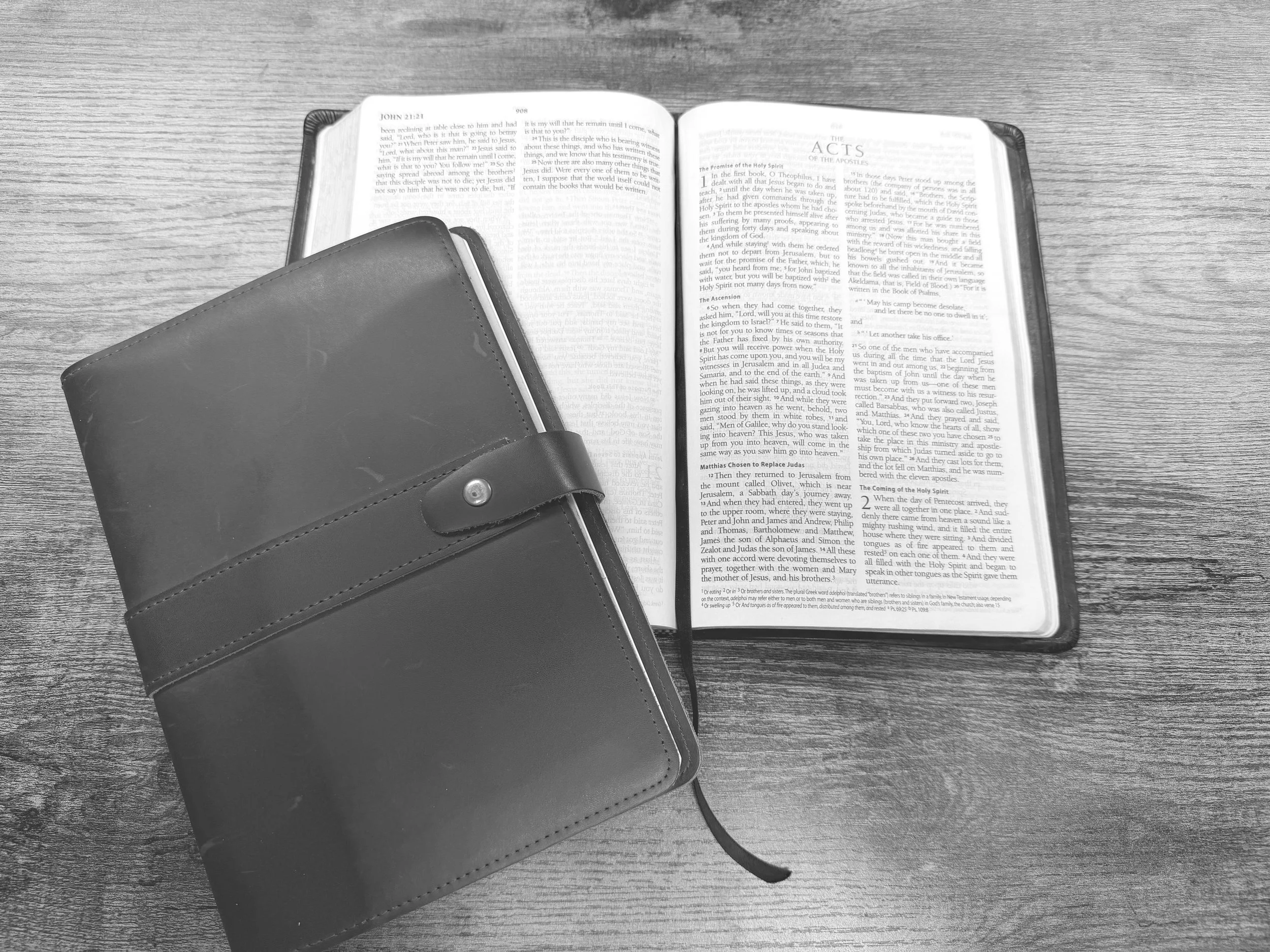 5-Day Devotional •&nbsp;Witnesses of Diversity and Distinction