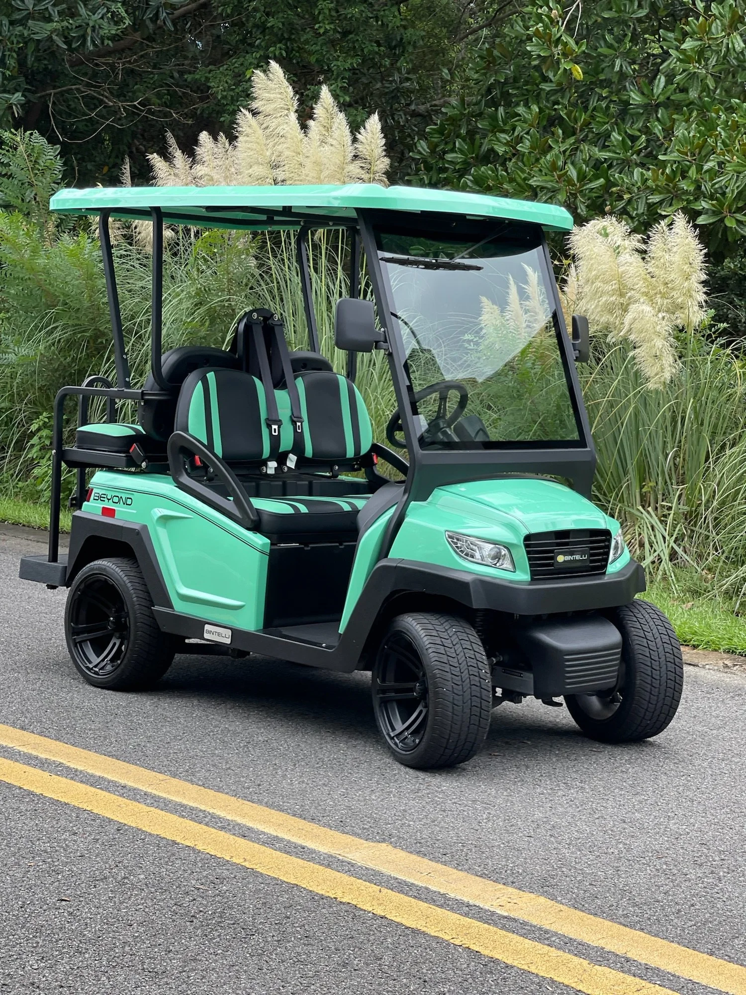 4MB47L mint green 4 seat electric street legal golf cart LSV on the Emerald Coast