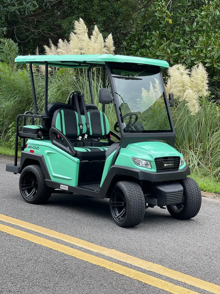 4MB47L luxury mint green 4-seat extended-range electric golf cart