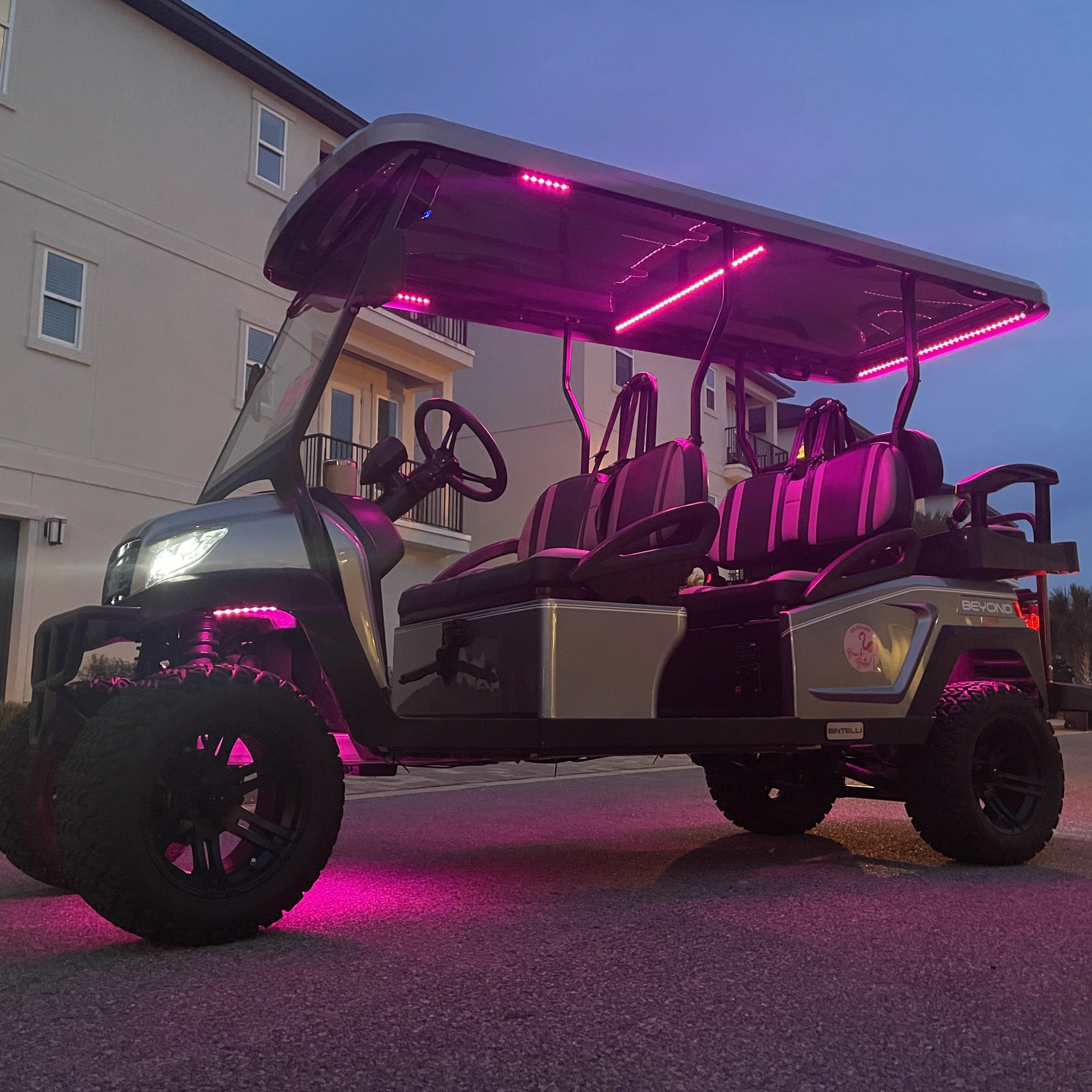 6PL Titanium With Purple Glow Square Crop.jpg