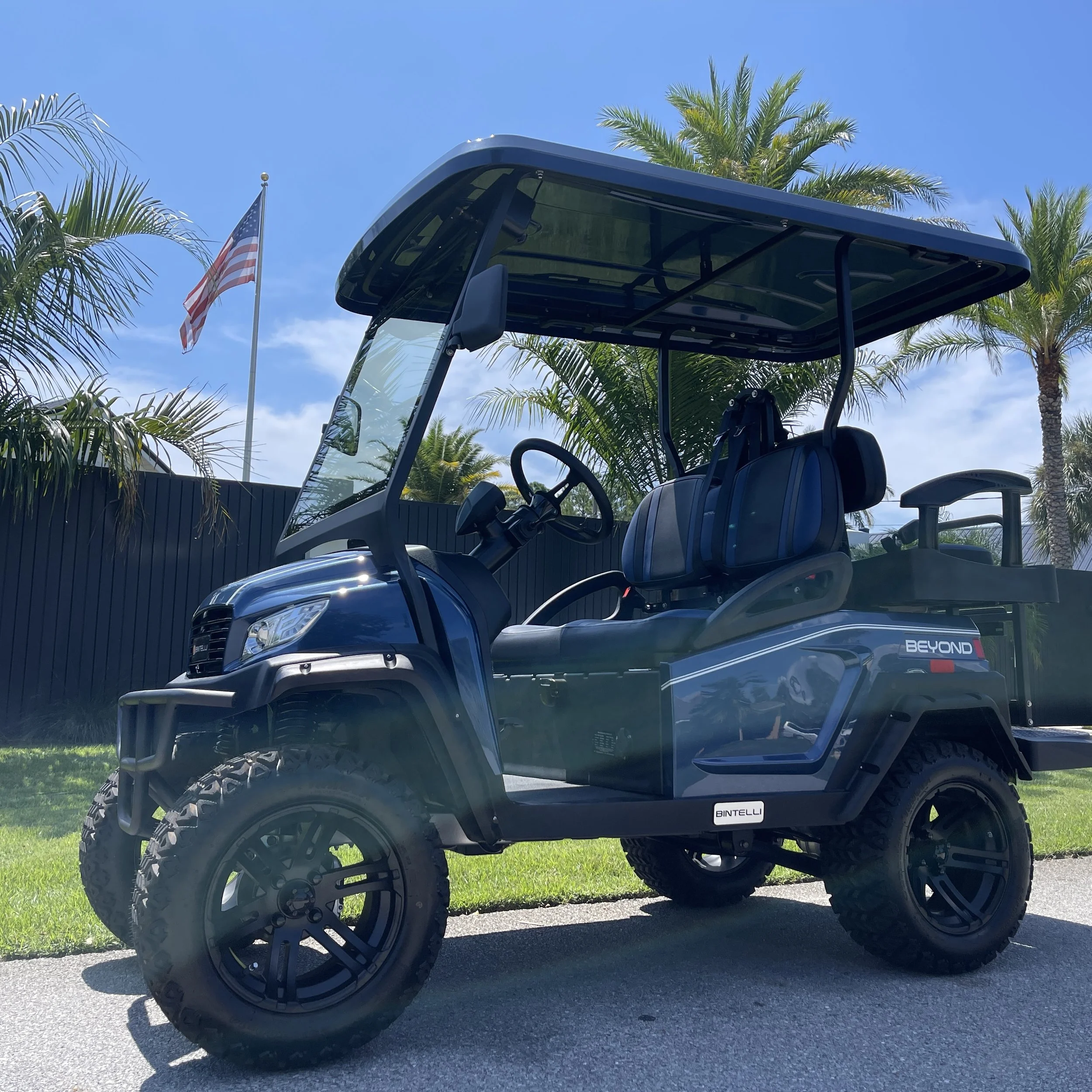 A Smart Buy - Lifted Bintelli Electric Golf Cart