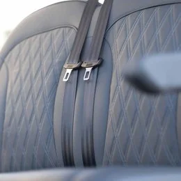 BEACH BETTER SEATBELTS CLOSE UP.jpg