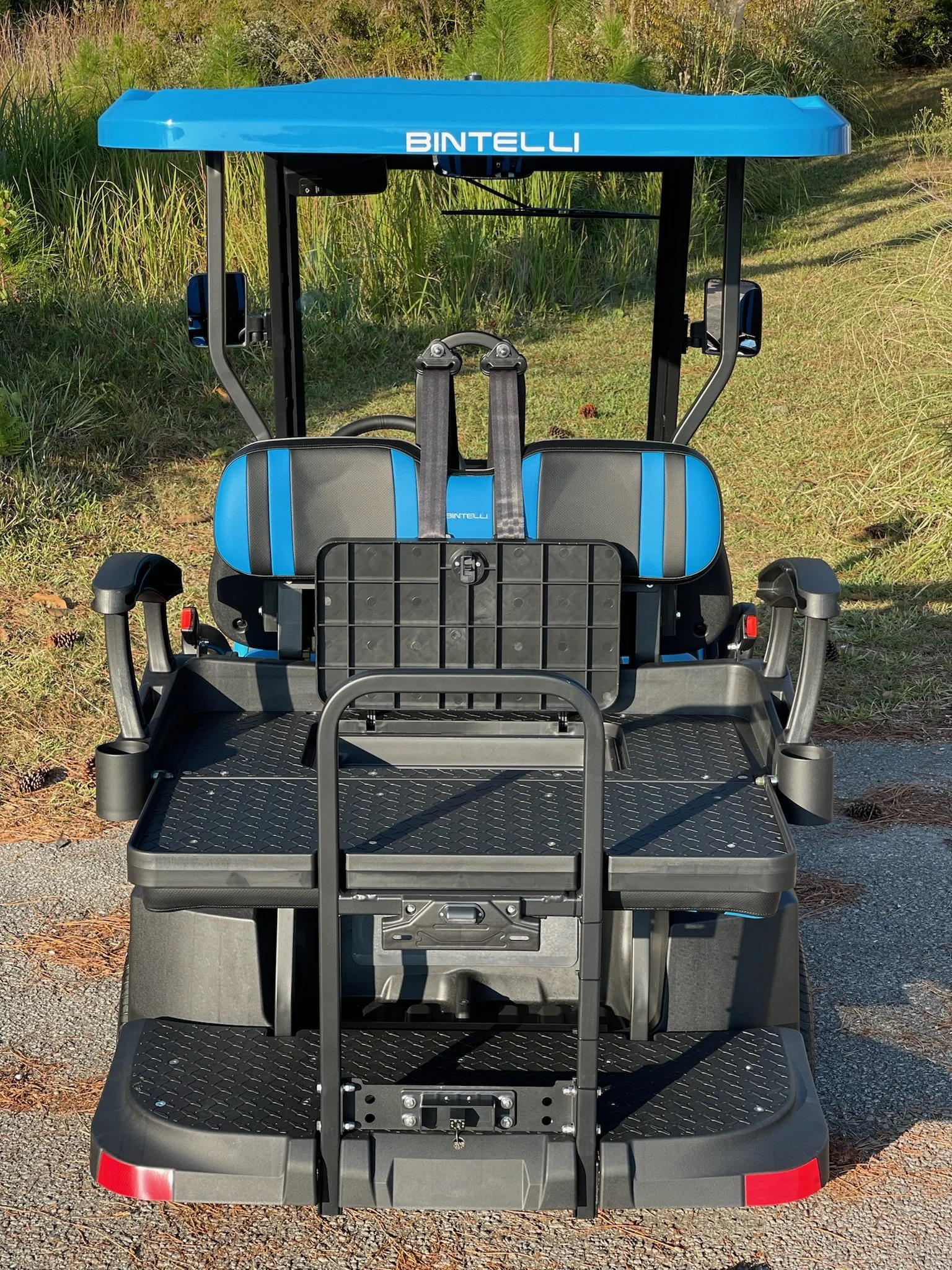Back View Bintelli 4P Ocean Blue Golf Cart.JPG