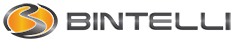 bintelli logo.png