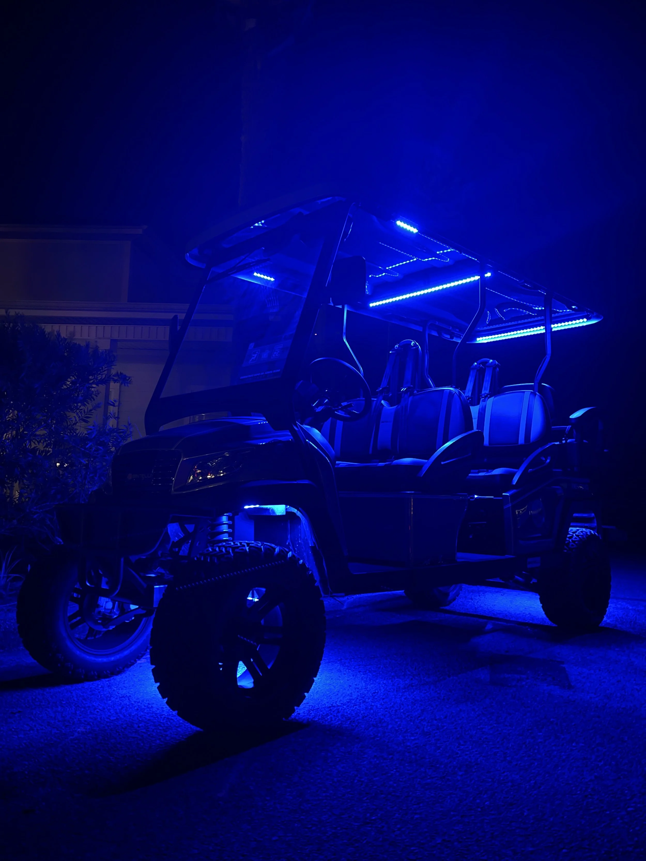 Vertical Crop 6PL Blue Glow.JPG