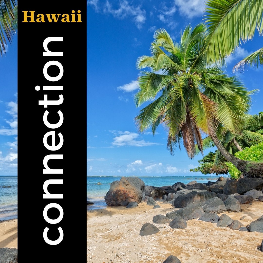 Hawaii Wellness.jpeg