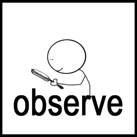 observe.jpg