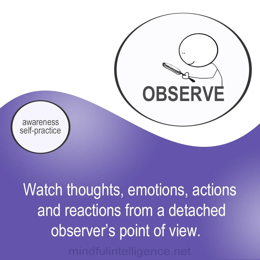observe.jpg