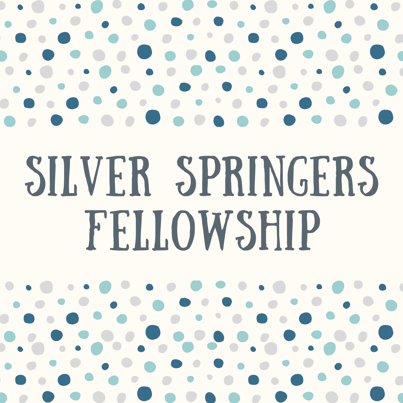 Silver Springers Lunch Out 