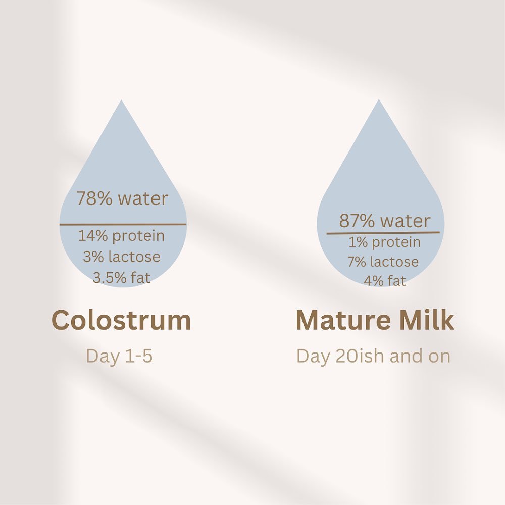 Colostrum vs Breastmilk - what&rsquo;s the difference??

Colostrum is the milk that is present after delivery (although our bodies start producing it between 12-18 weeks pregnant) and is perfectly designed to be everything your new baby needs until b