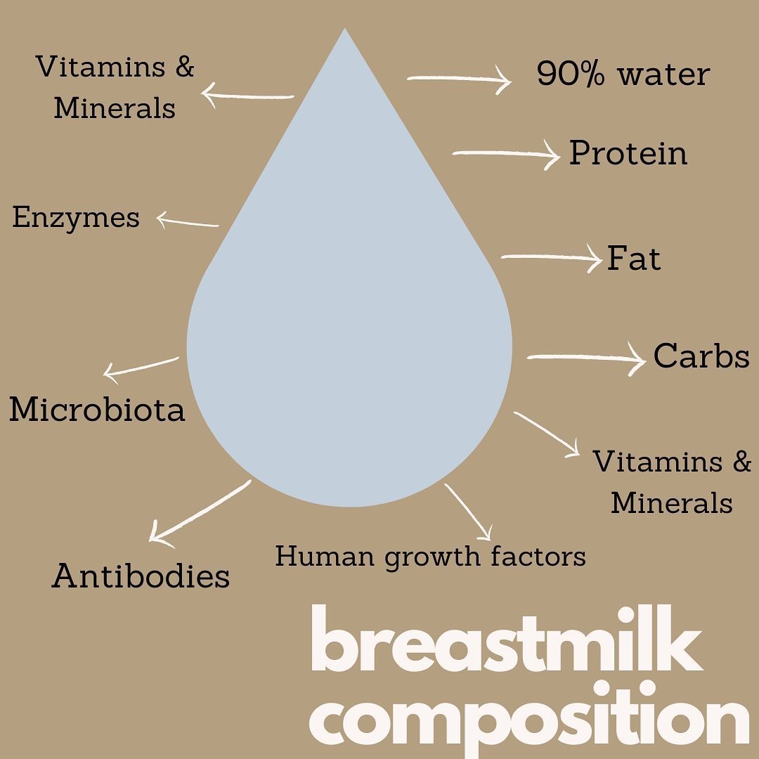 What the heck is in breastmilk!? 

You may know it&rsquo;s referred to as &ldquo;liquid gold&rdquo;. You may know that it meets your baby&rsquo;s needs perfectly. You may know that there&rsquo;s fat in it because you observe a layer of fat on your pu