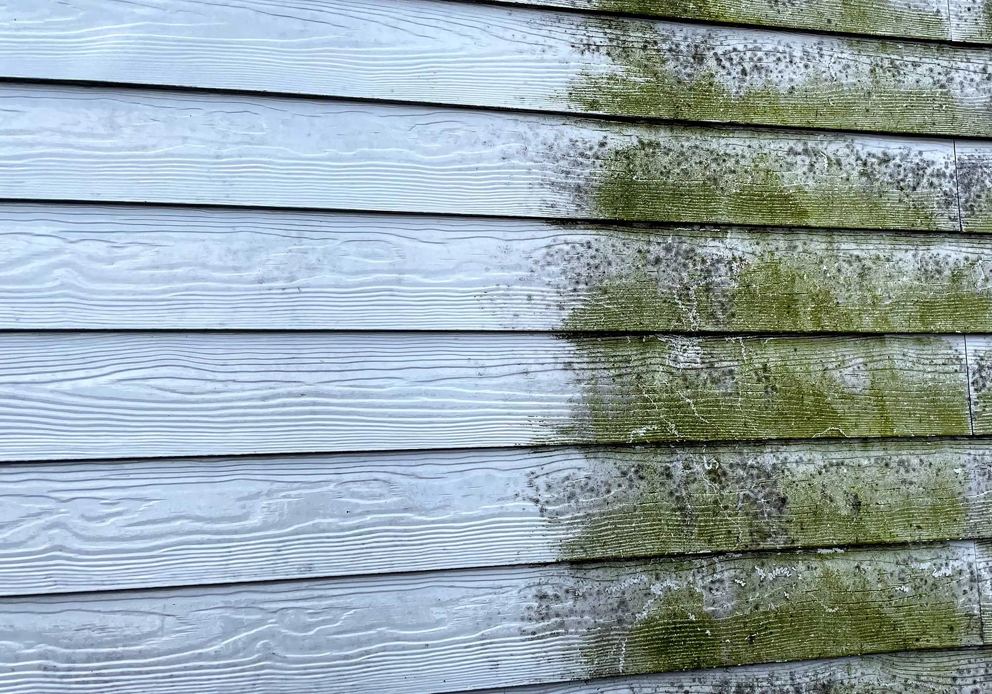 Building cladding cleaning — Spotless Window Cleaning