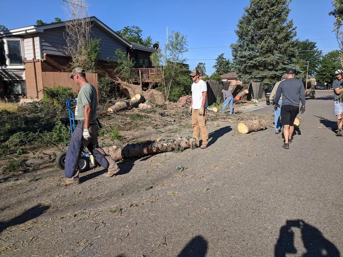 Two Huge Pine Trees Gone!