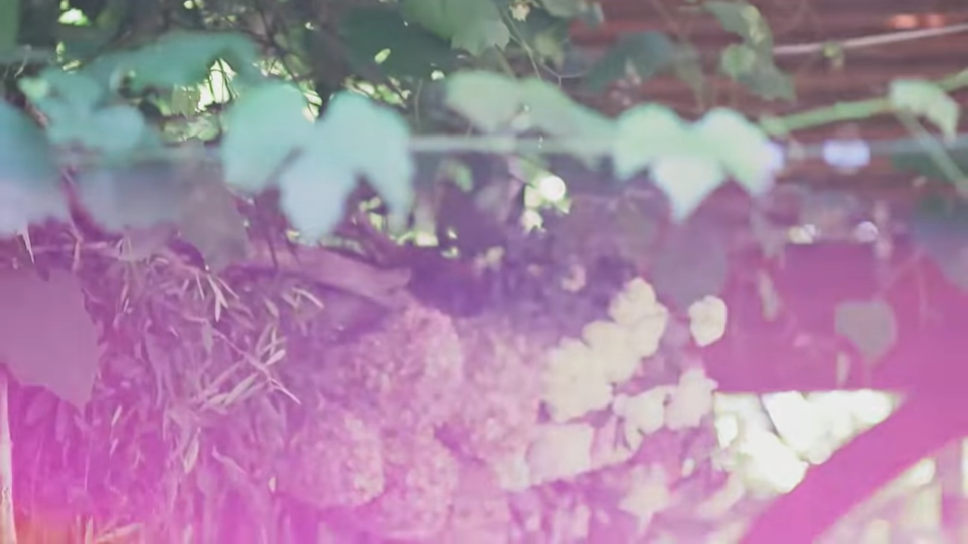 Screenshot (229).png