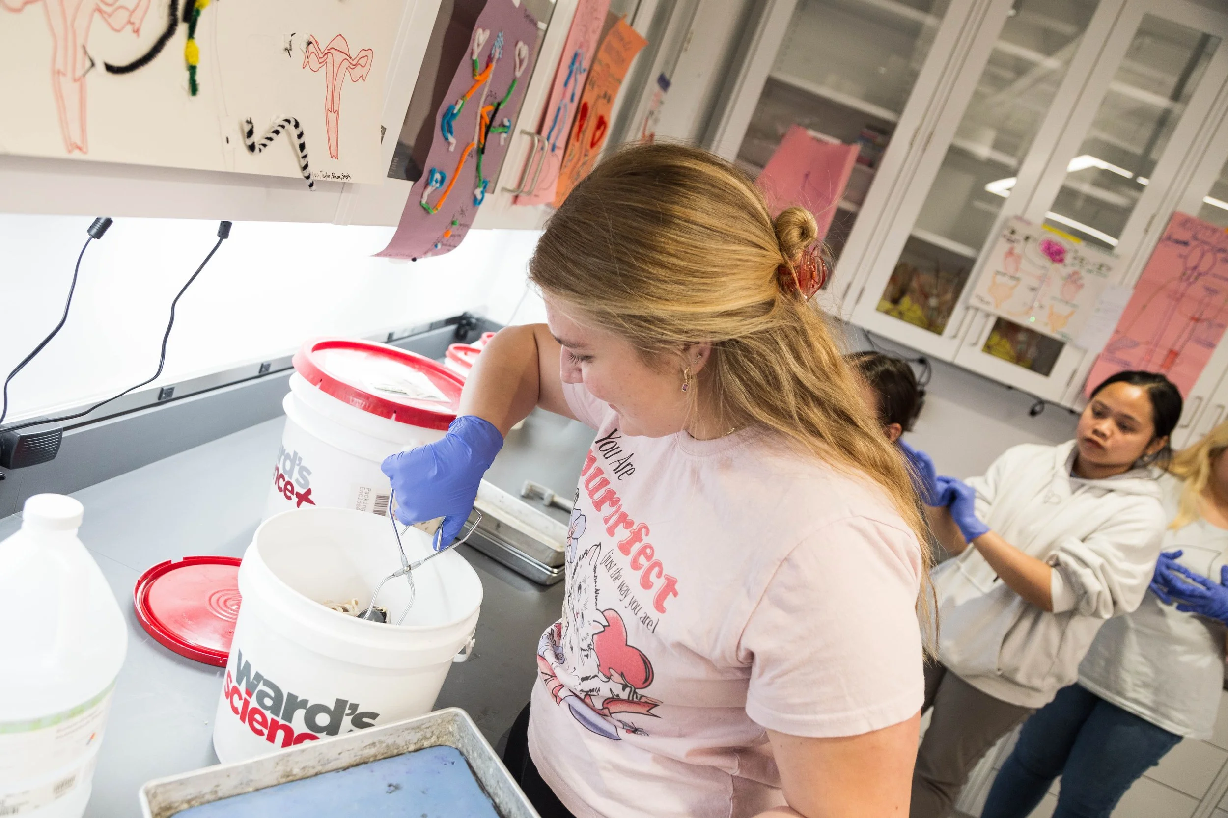 biology-lab-dissection -3652.jpg