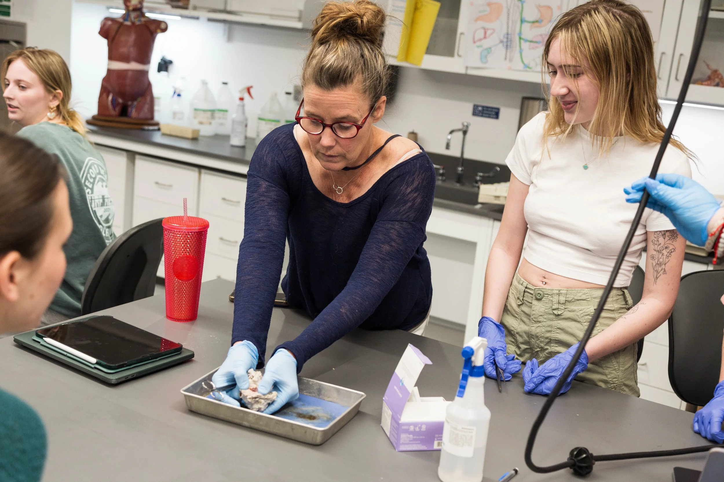 biology-lab-dissection -3672.jpg