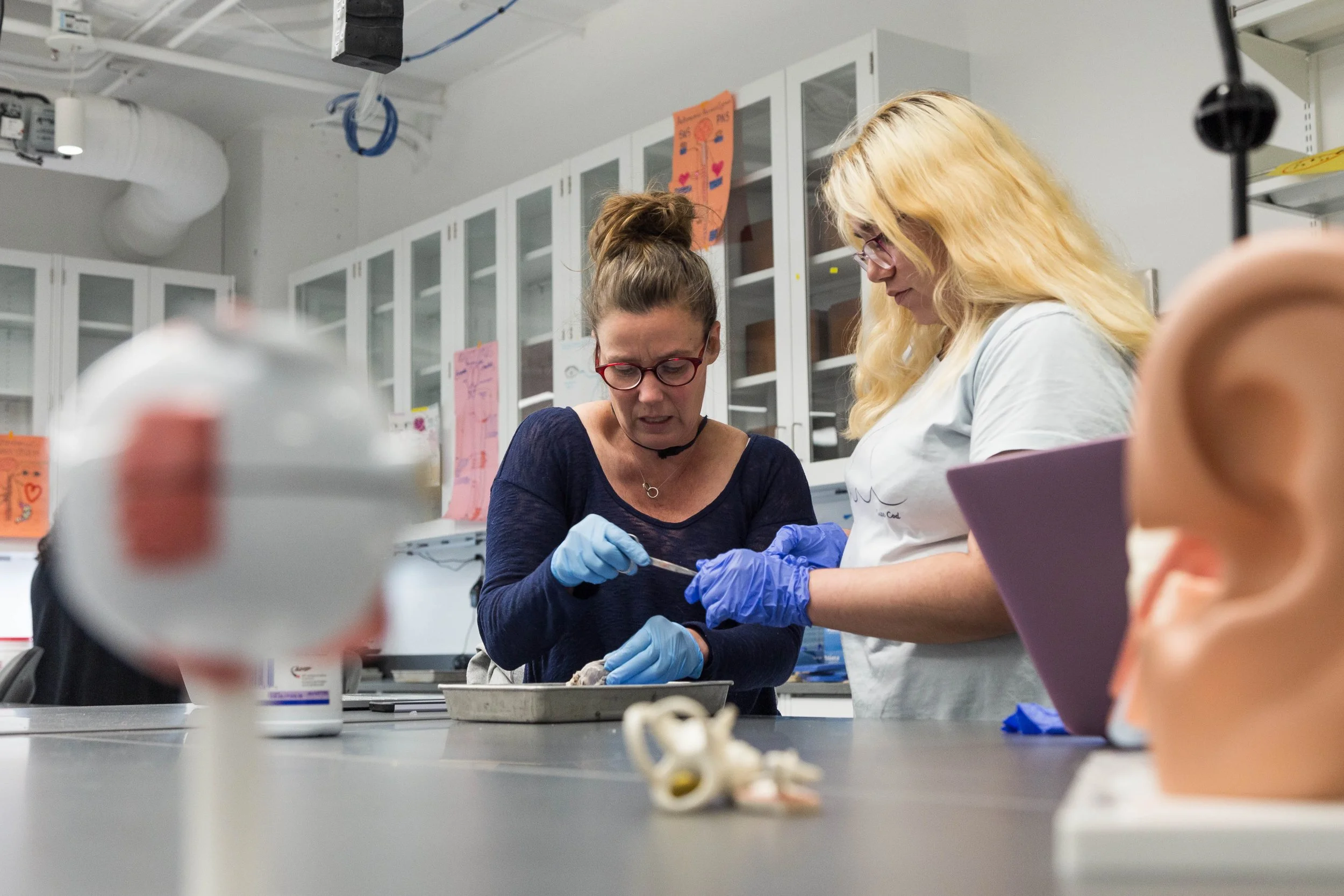 biology-lab-dissection -3697.jpg