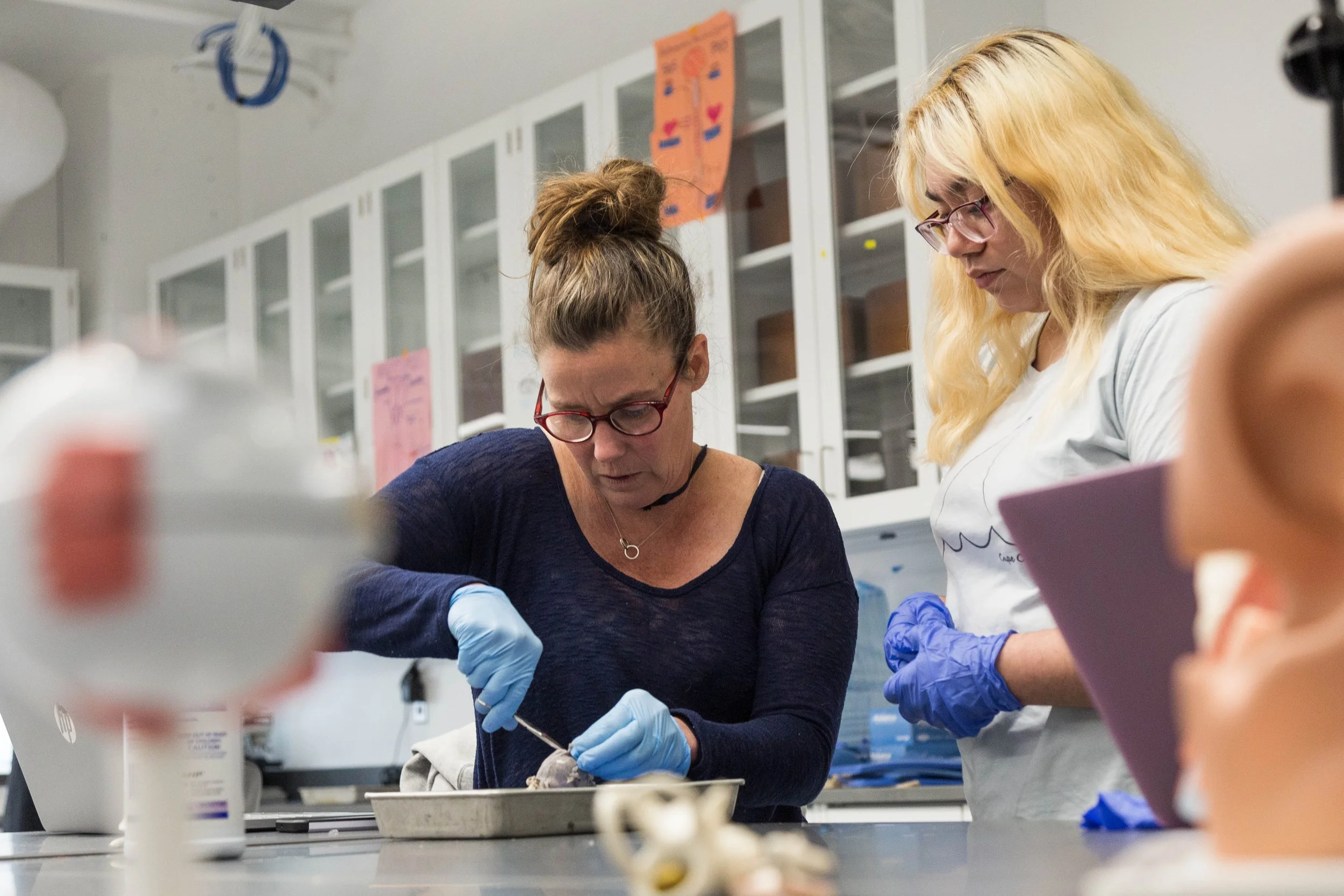 biology-lab-dissection -3700.jpg