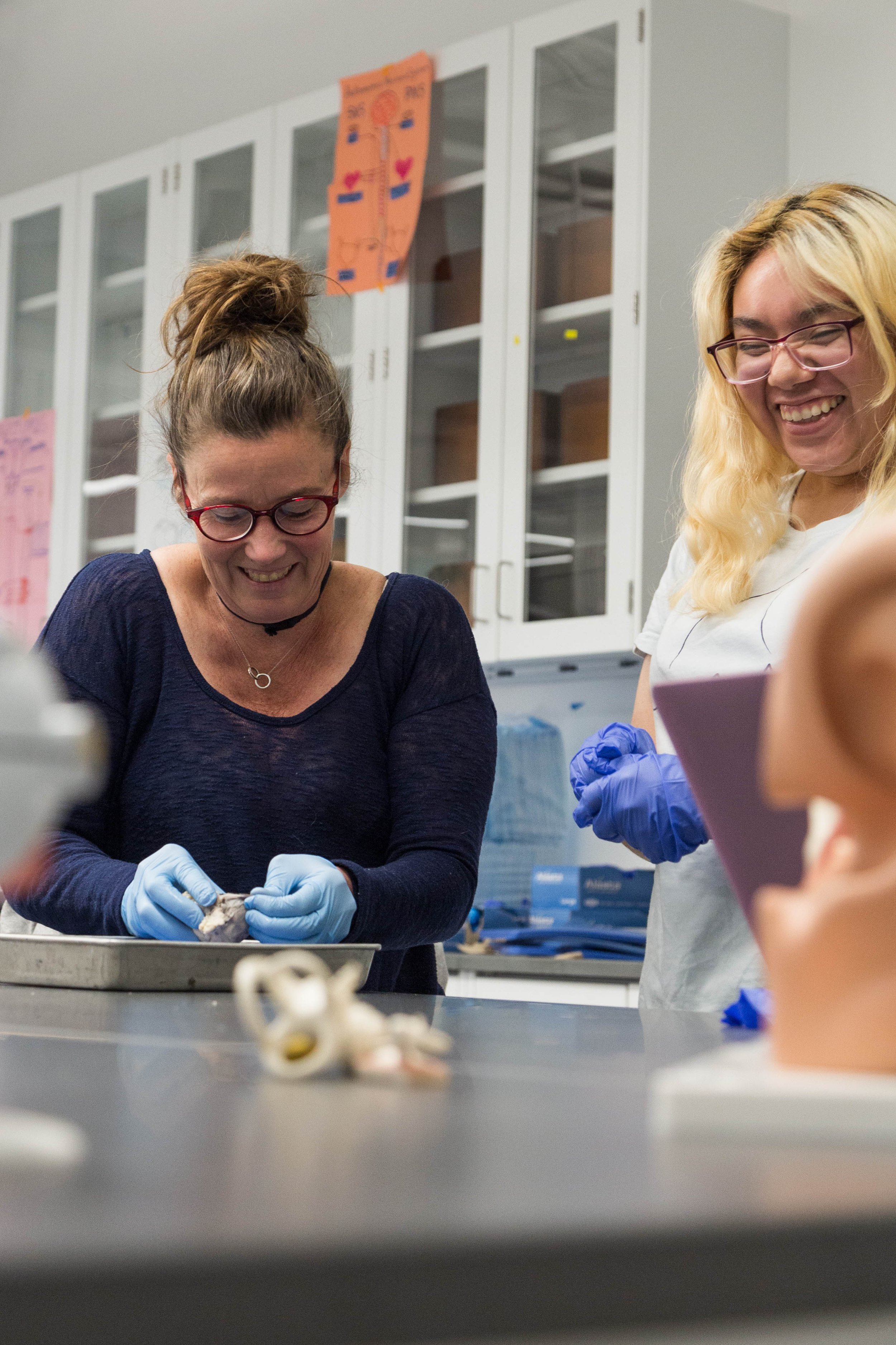 biology-lab-dissection -3704.jpg