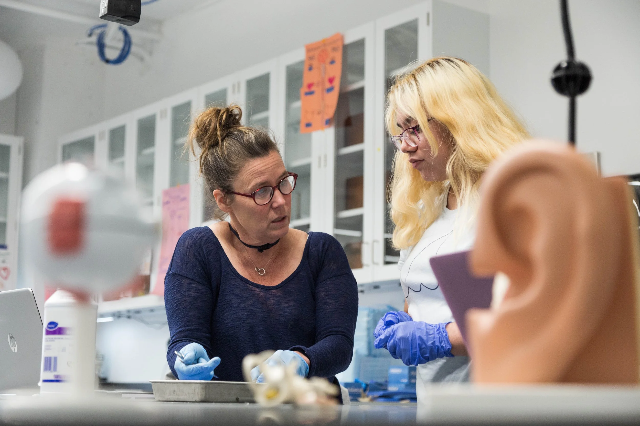 biology-lab-dissection -3708.jpg