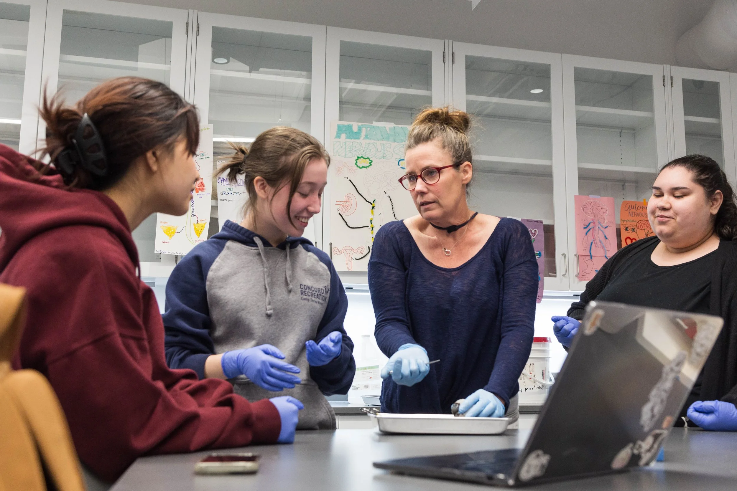 biology-lab-dissection -3718.jpg