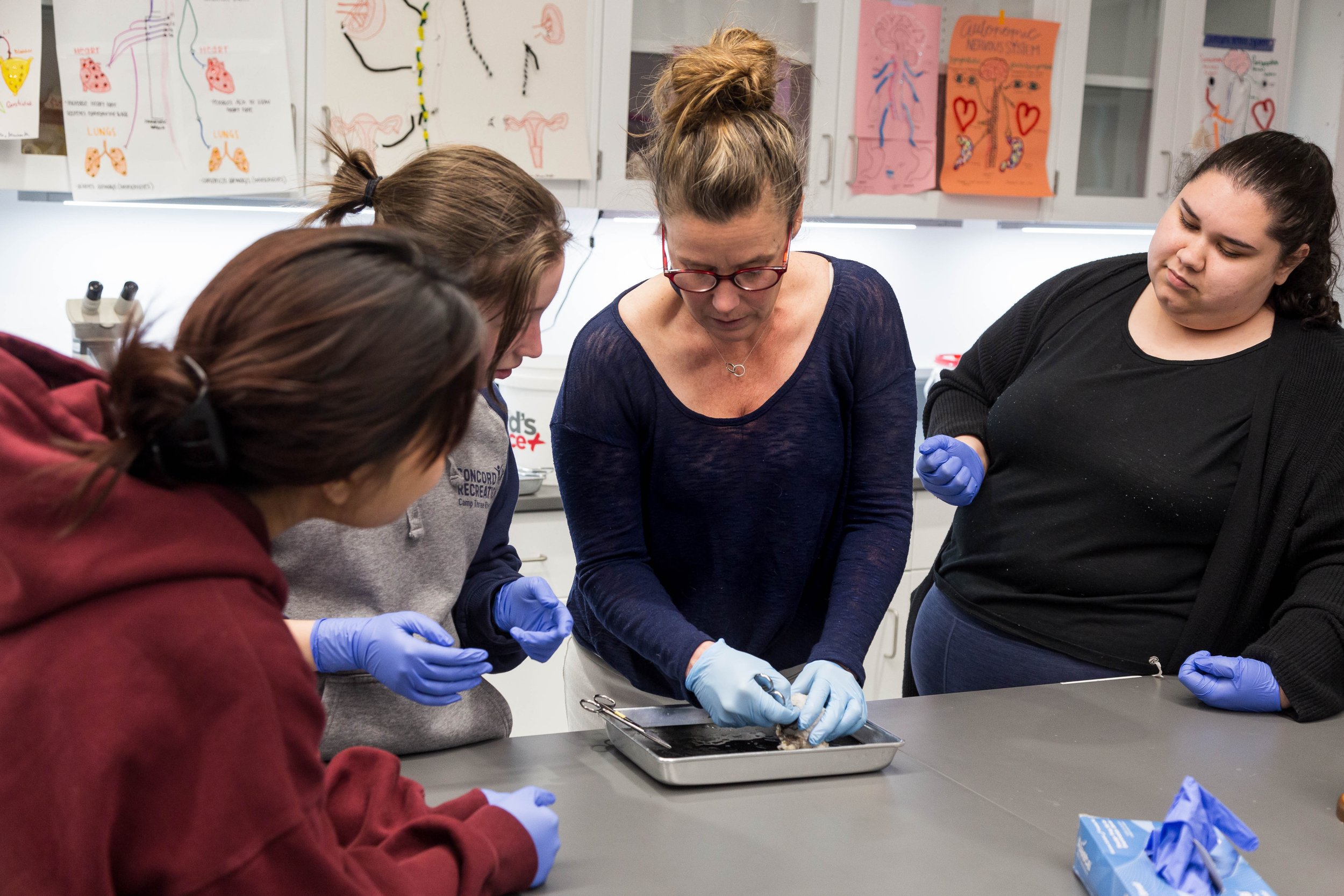 biology-lab-dissection -3720.jpg