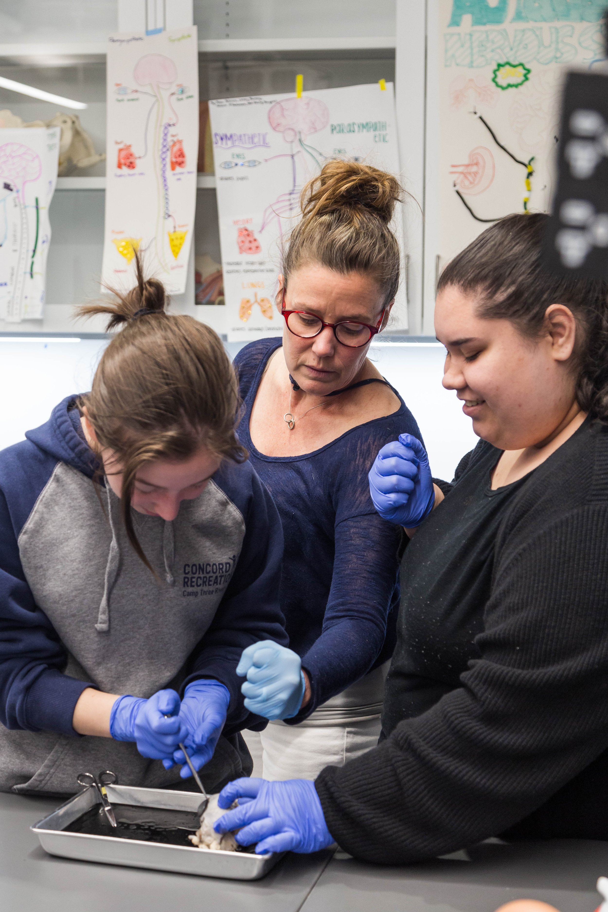 biology-lab-dissection -3726.jpg