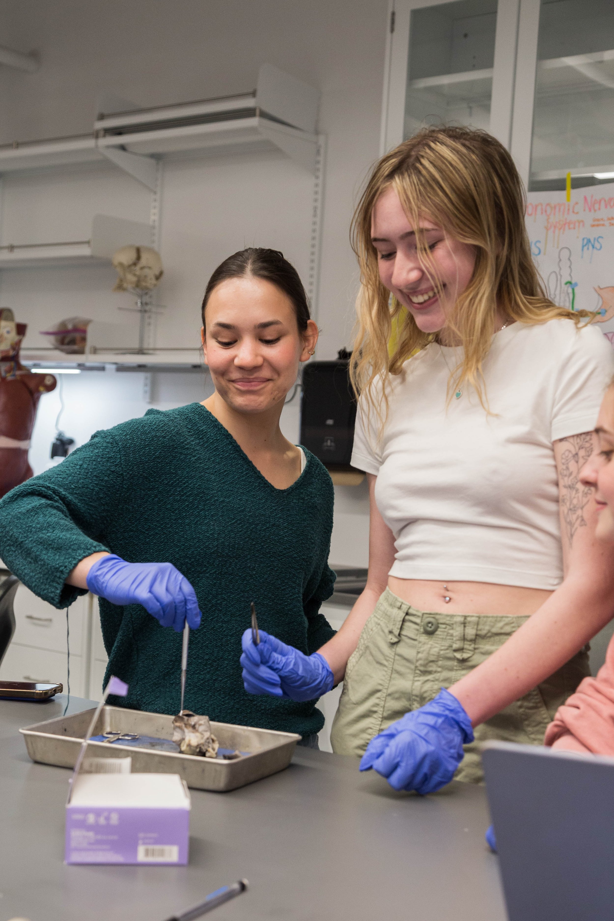 biology-lab-dissection -3757.jpg