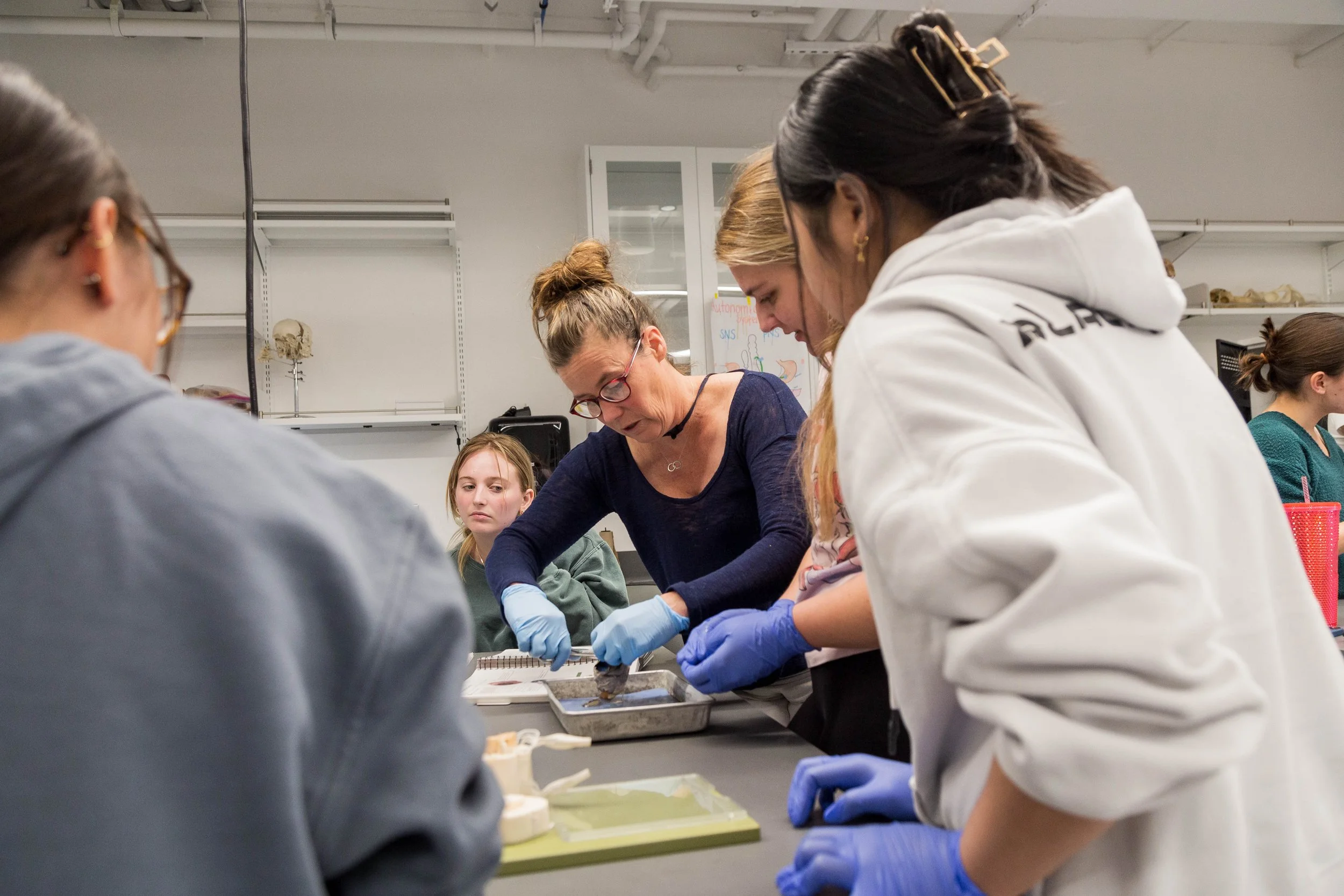 biology-lab-dissection -3770.jpg