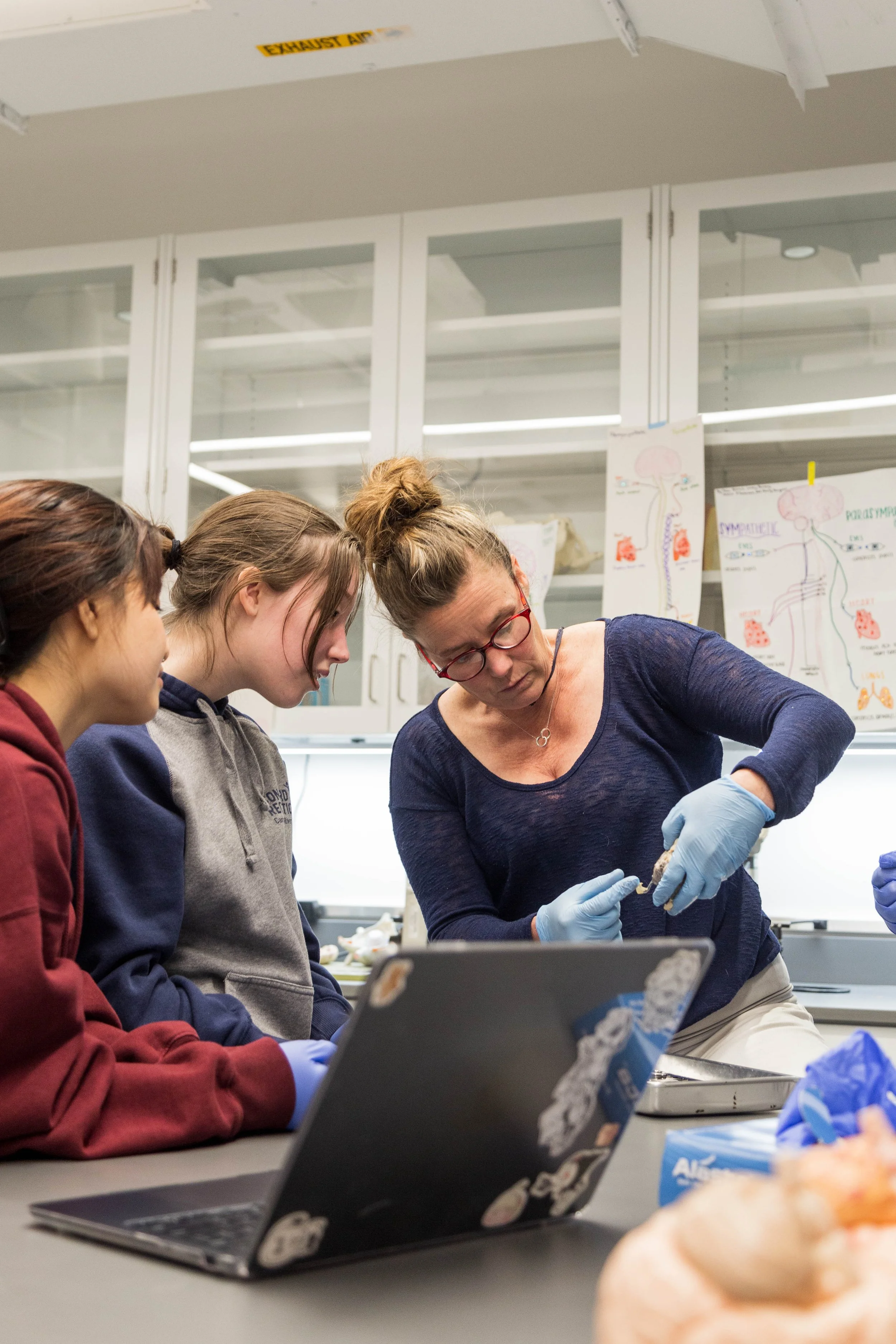 biology-lab-dissection -3816.jpg