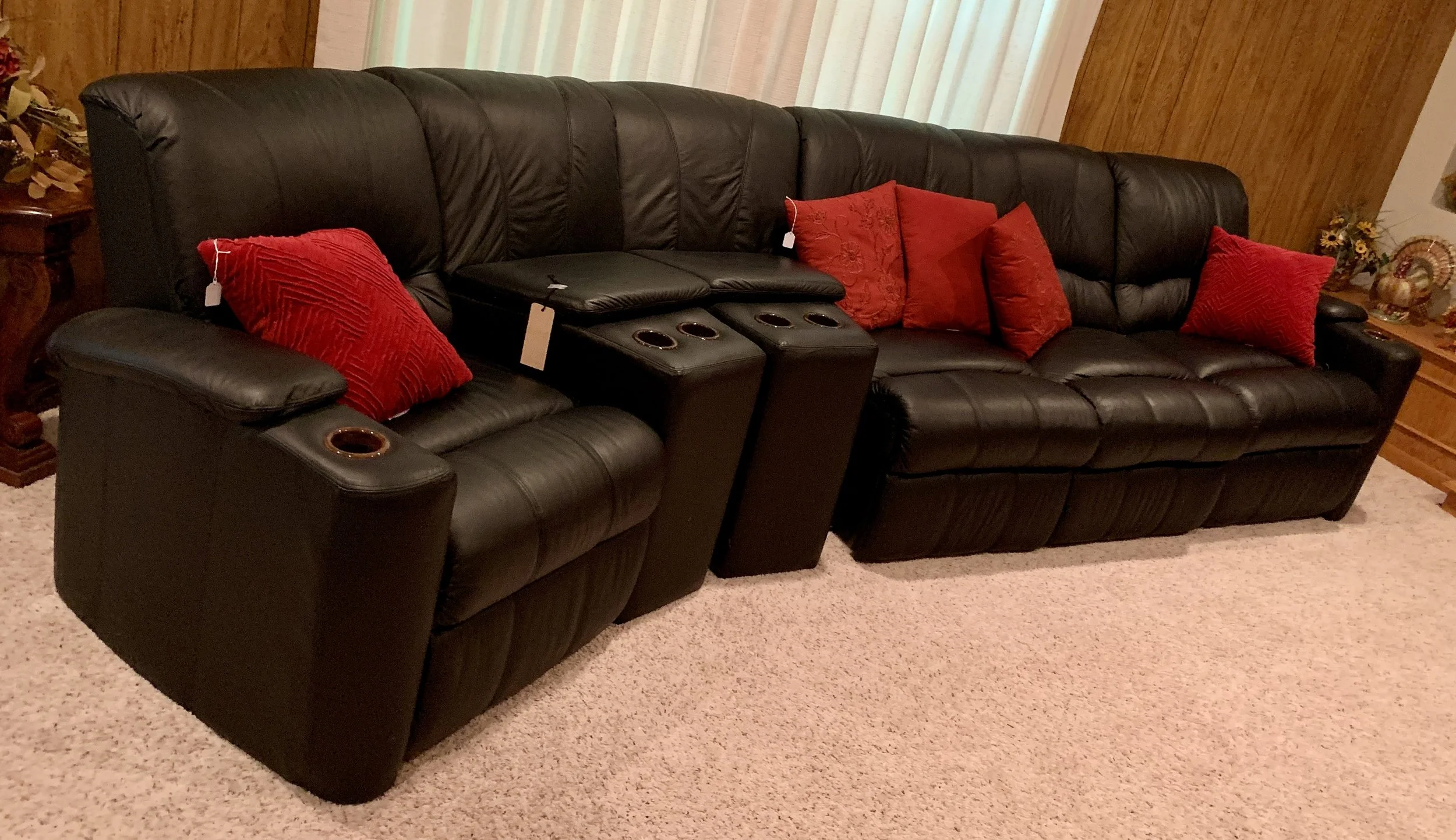 Leather theater seating