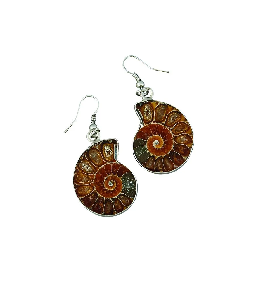 Ammonite Earrings