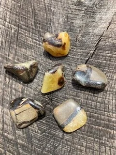 Septarian Tumbled Stone