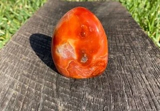 Mini Carnelian Free Form