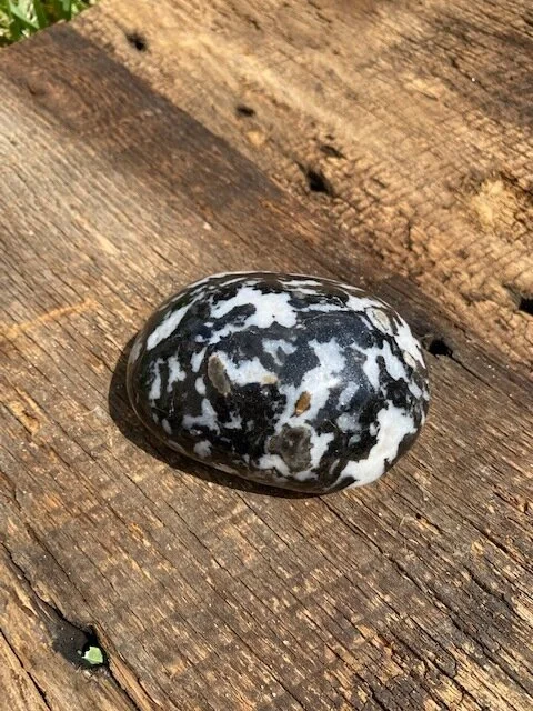 PG-xltumfossiljasper.jpg