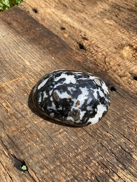 XL Fossil Jasper Tumbled Stone