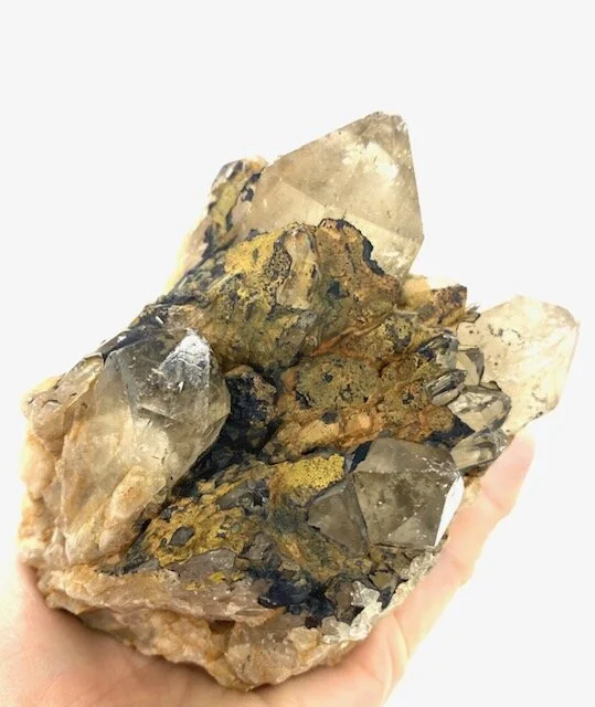 MIN-congocitrine08a.jpg