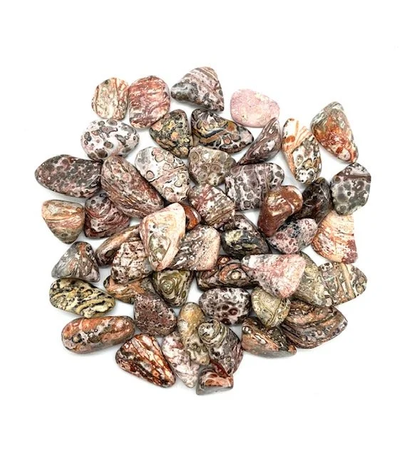 TUM-1:2leopardskints.jpg