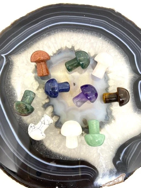 PG-20mmgemmushroom5pc.jpg