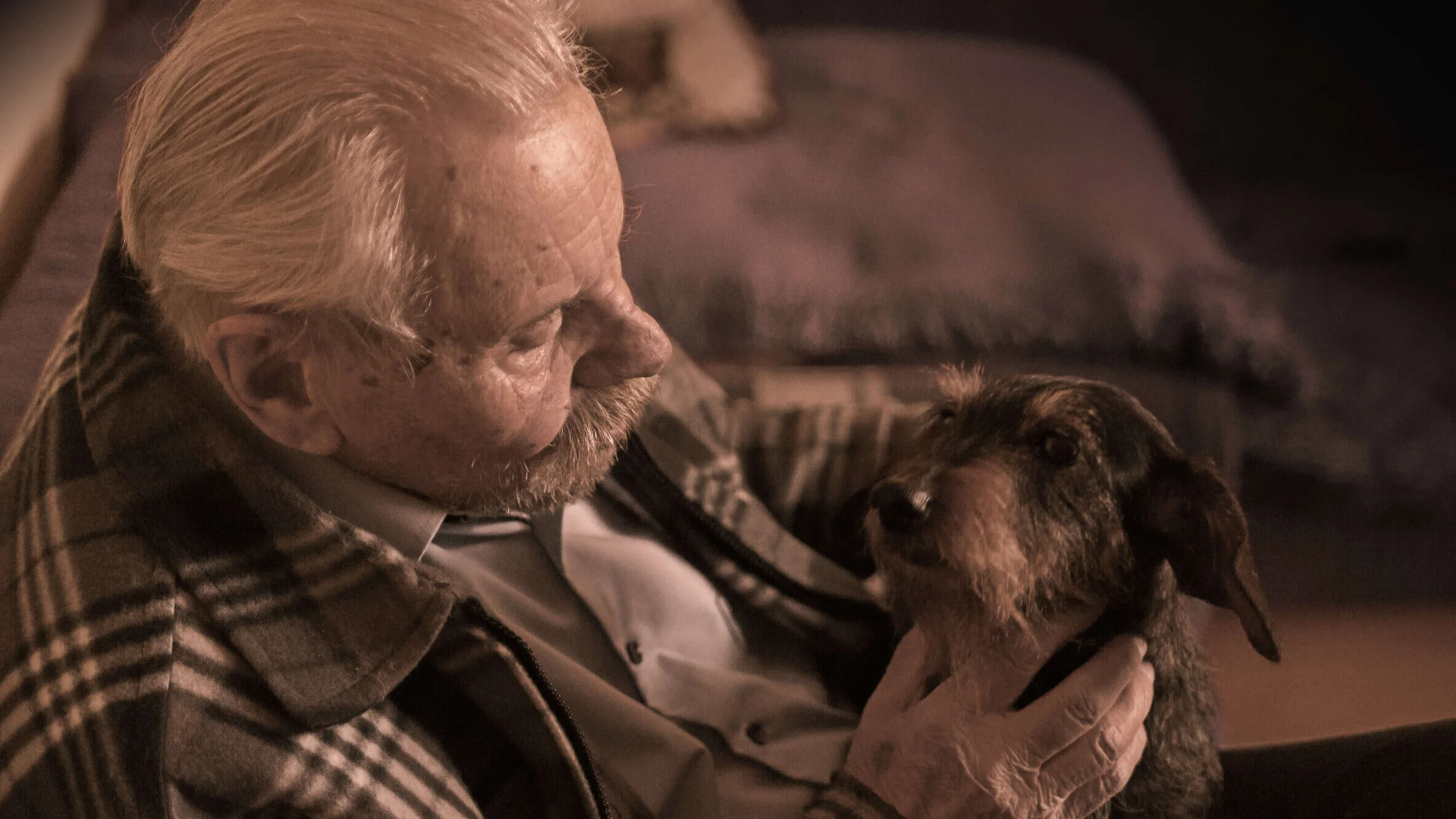 Der Traum eines Halters: Gemeinsam mit dem Dackel alt werden.