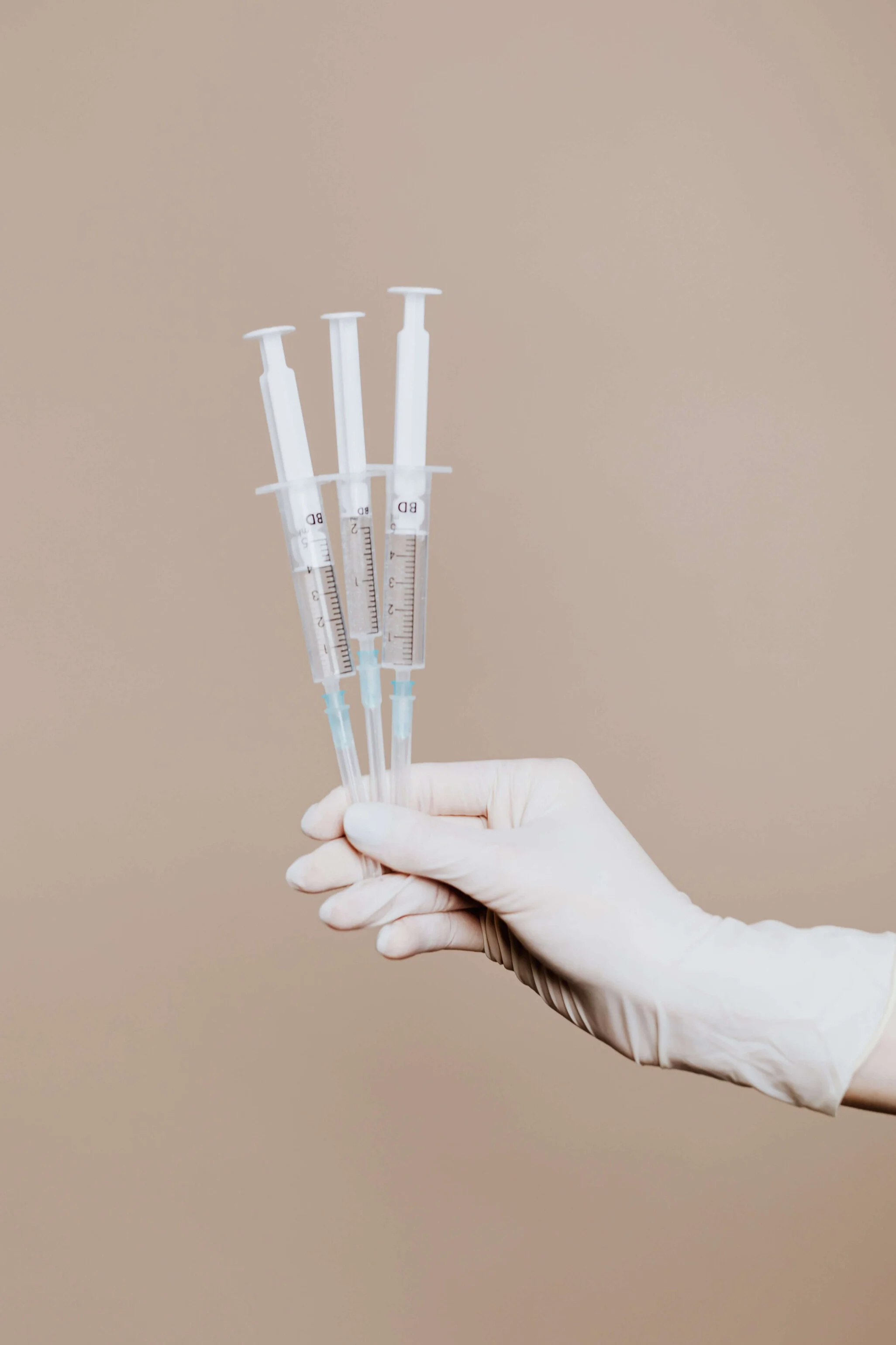 Bei Dackeln unterscheidet man zwischen Wahl- und Pflichtimpfungen.